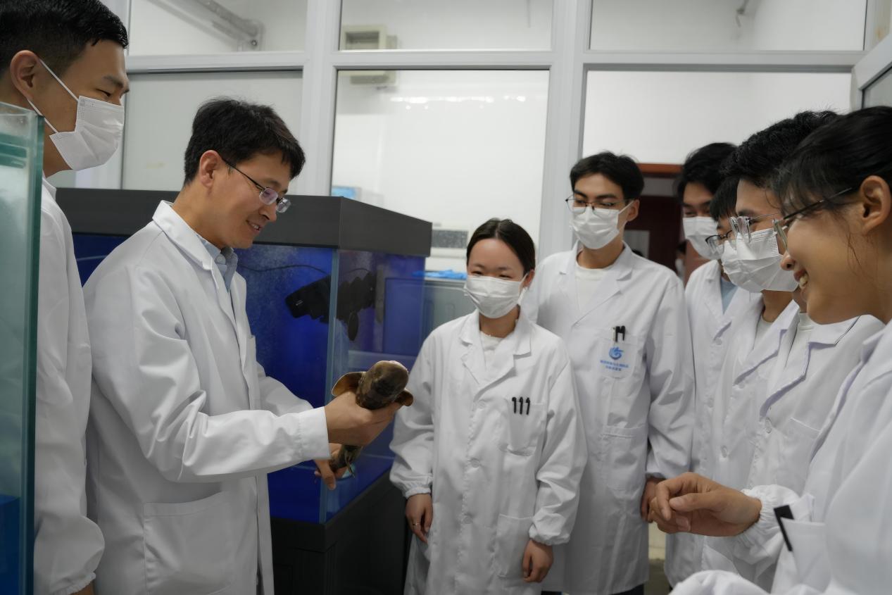 顾玉超教授（左二）指导员工做鲨鱼免疫实验。受访者供图